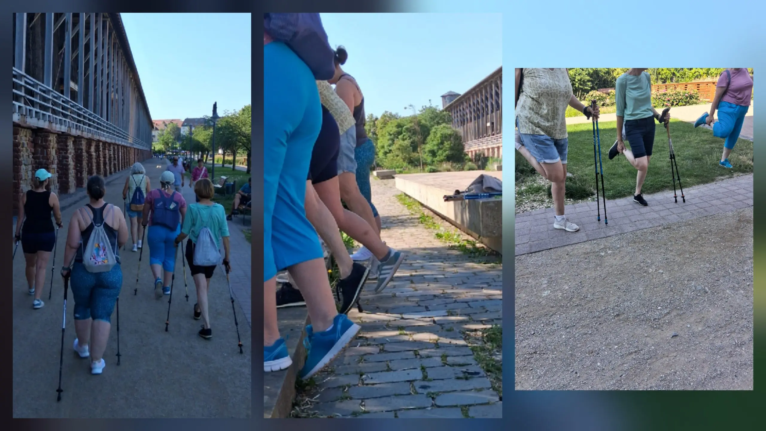 20260619_125600 Nordic Walking 1