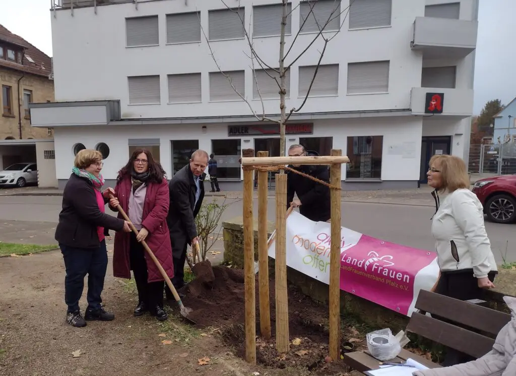 Baumpfalnzaktion 2024