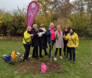 Baumpfanzaktion 2025