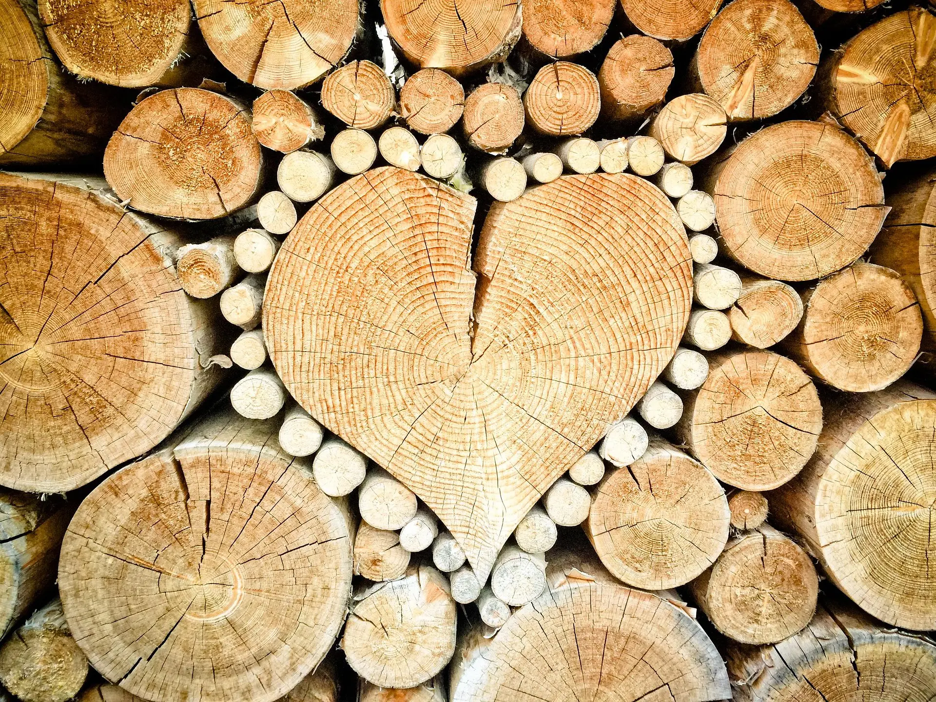 Kreativkurs: „Holzkunst für Zuhause“