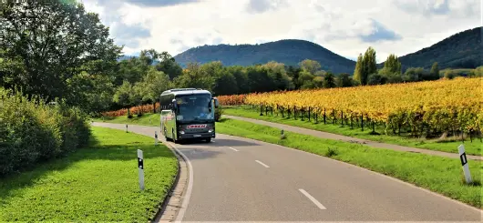 „Franken und Thüringer Wald“