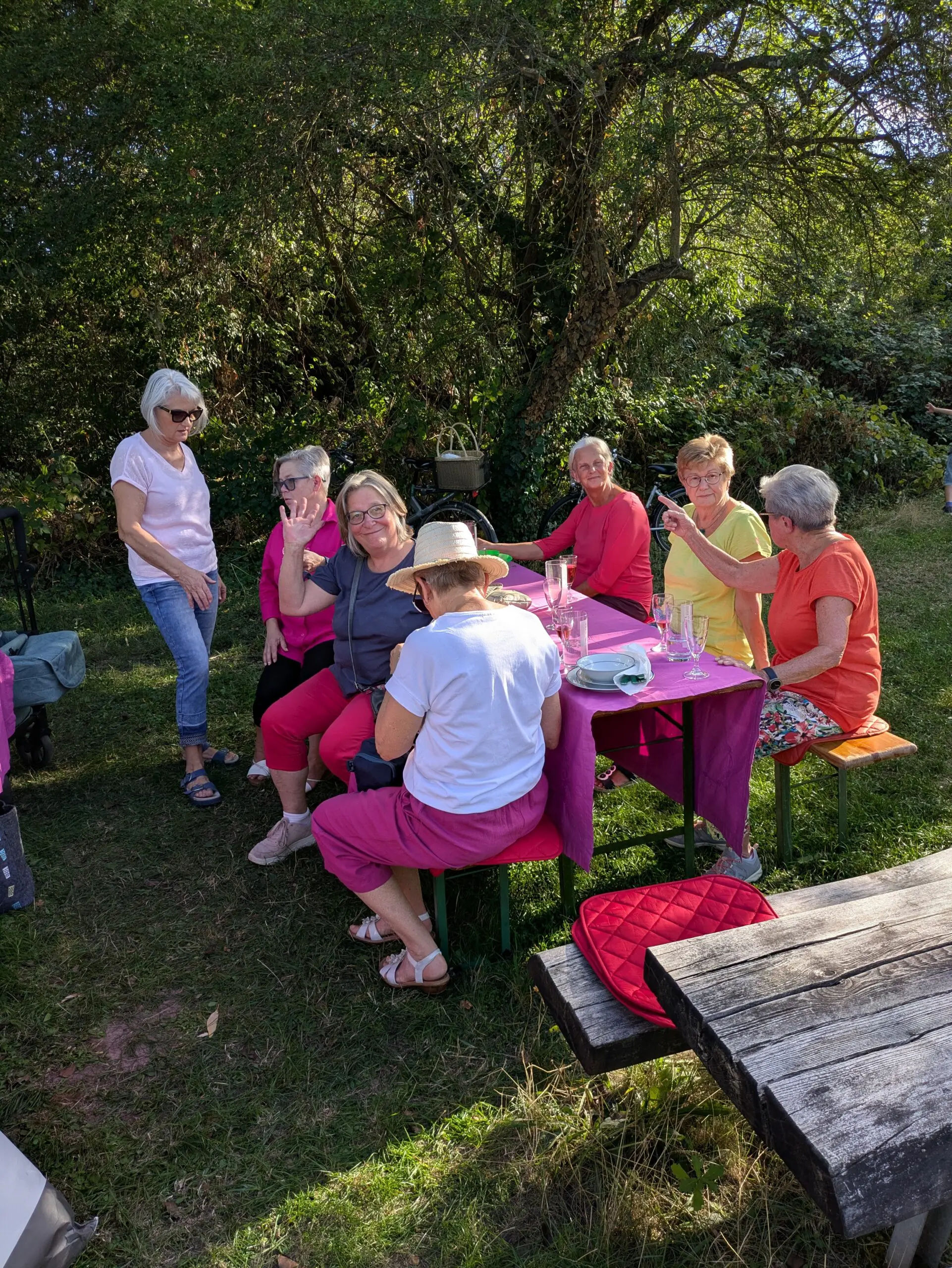 Picknick in Pink