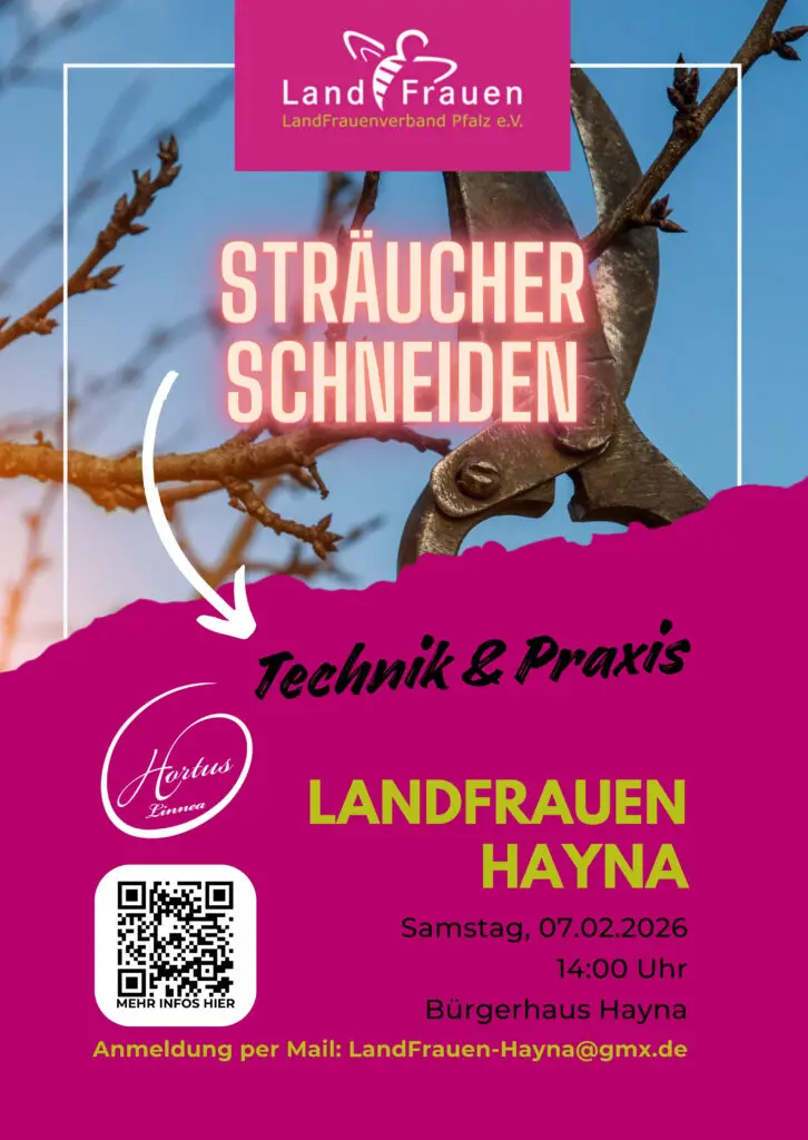 Sträucher Schneiden