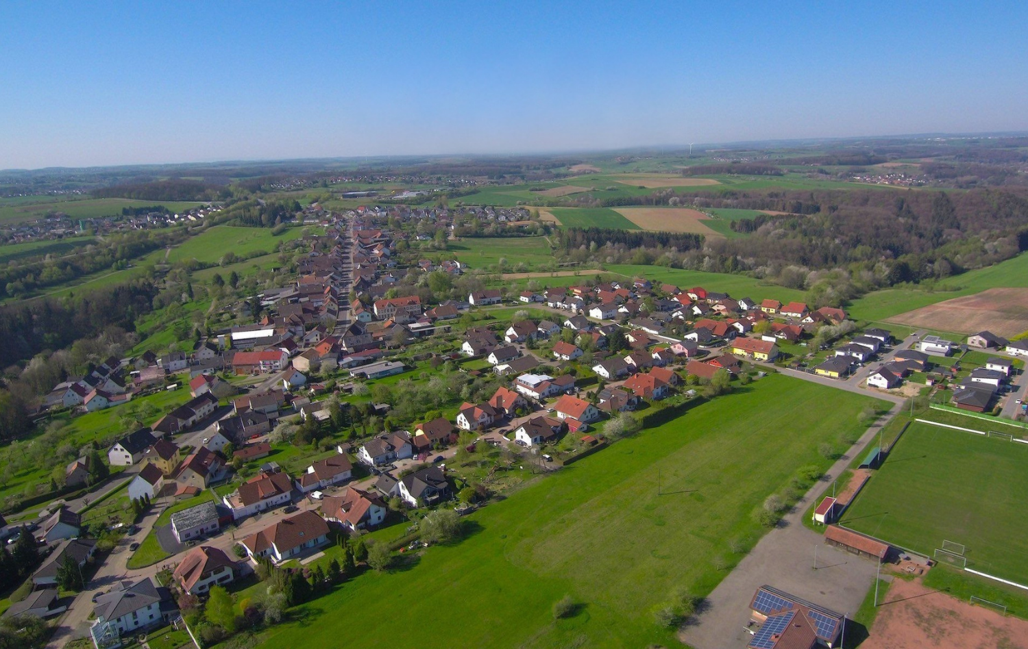 Banner Website Höhfröschen