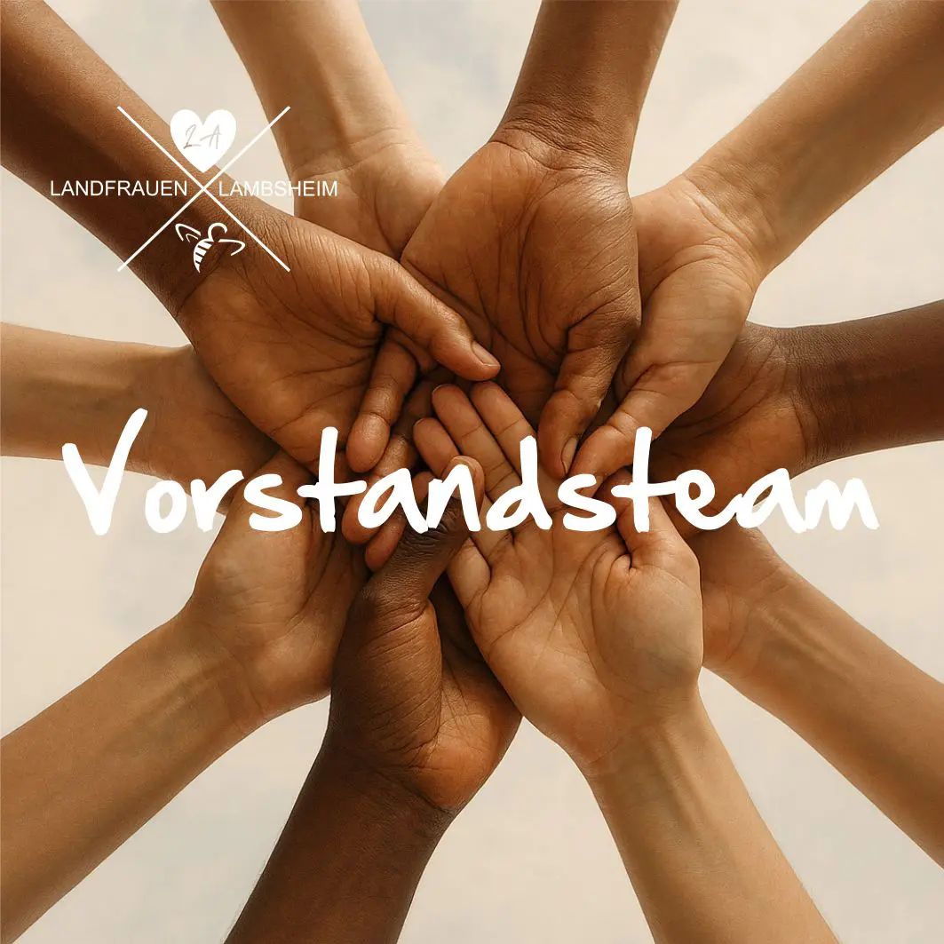 Vorstandsteam Beitrag