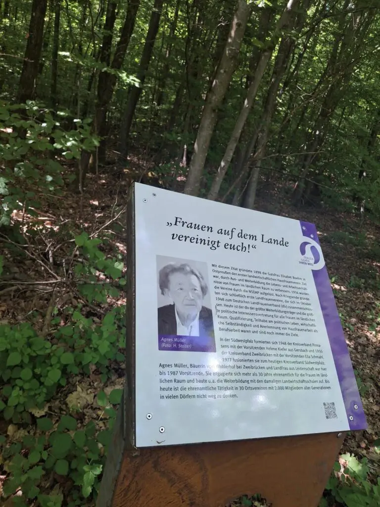 WhatsApp Image 2026 02 03 At 23.10.19