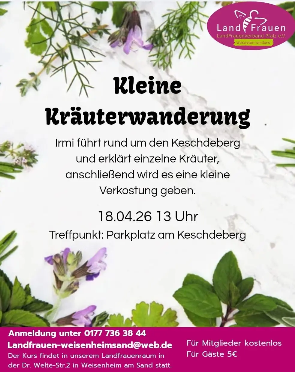 Flyer Kräuterwanderung April 2026