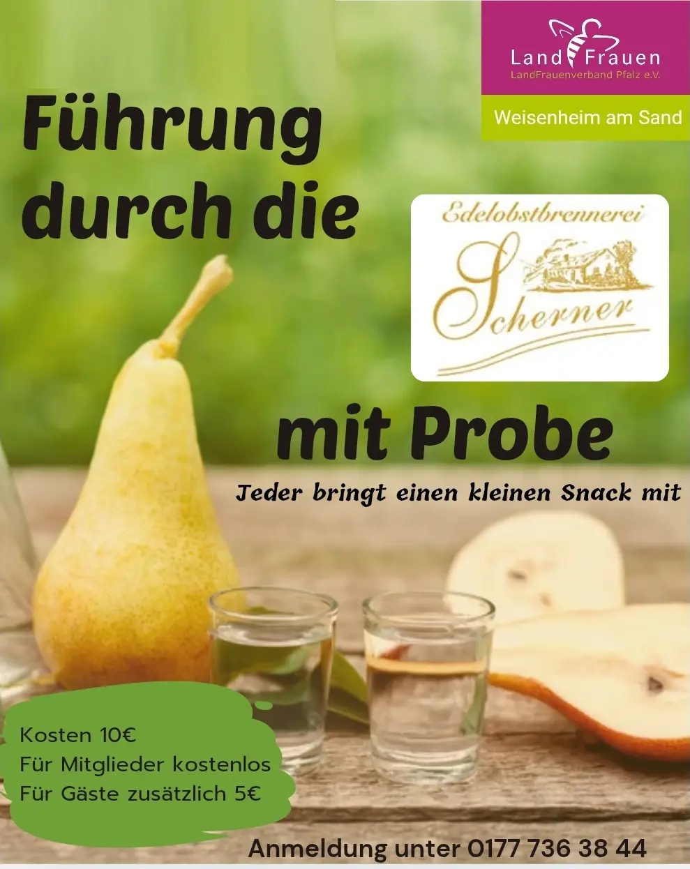 Flyer Führung Scherner 2026