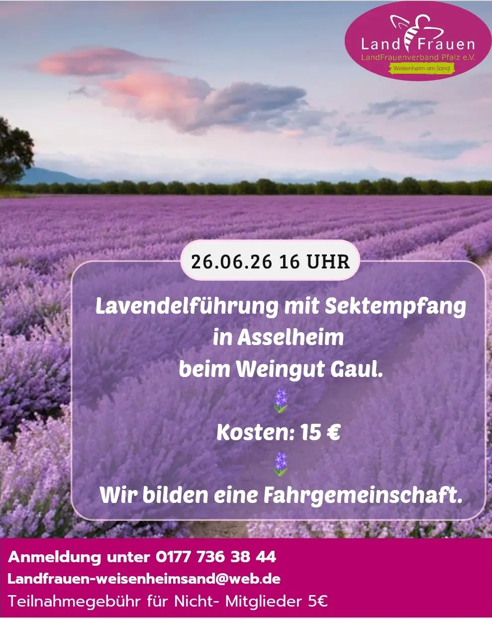 Flyer Lavendelführung Juni 2026