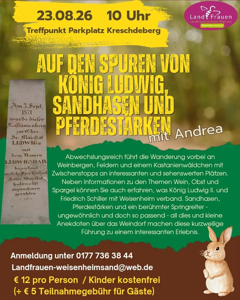 Flyer König Ludwig, Sandhasen und Pferdestärken 2026