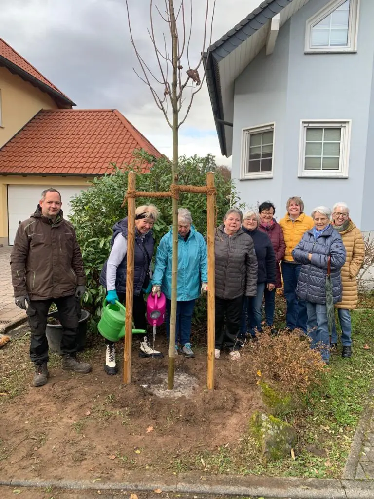 Baumpflanzchallenge 2025 – 1