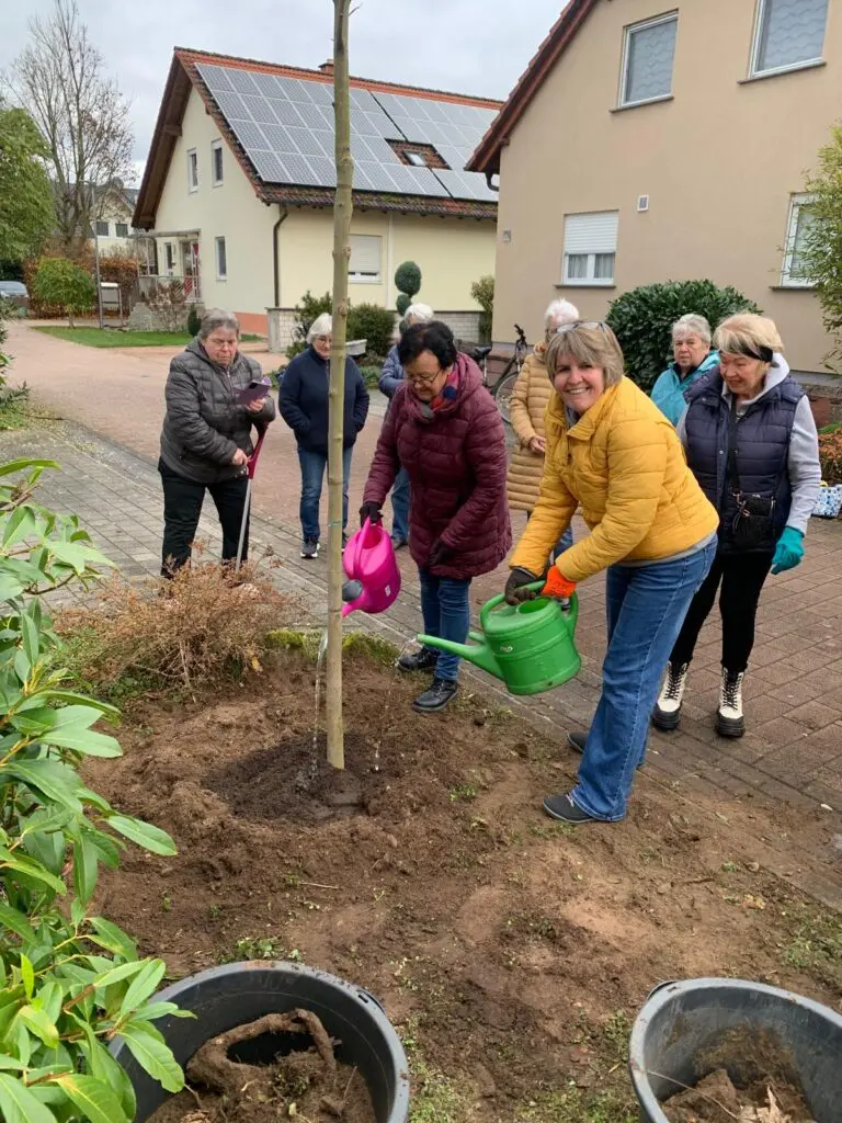 Baumpflanzchallenge 2025