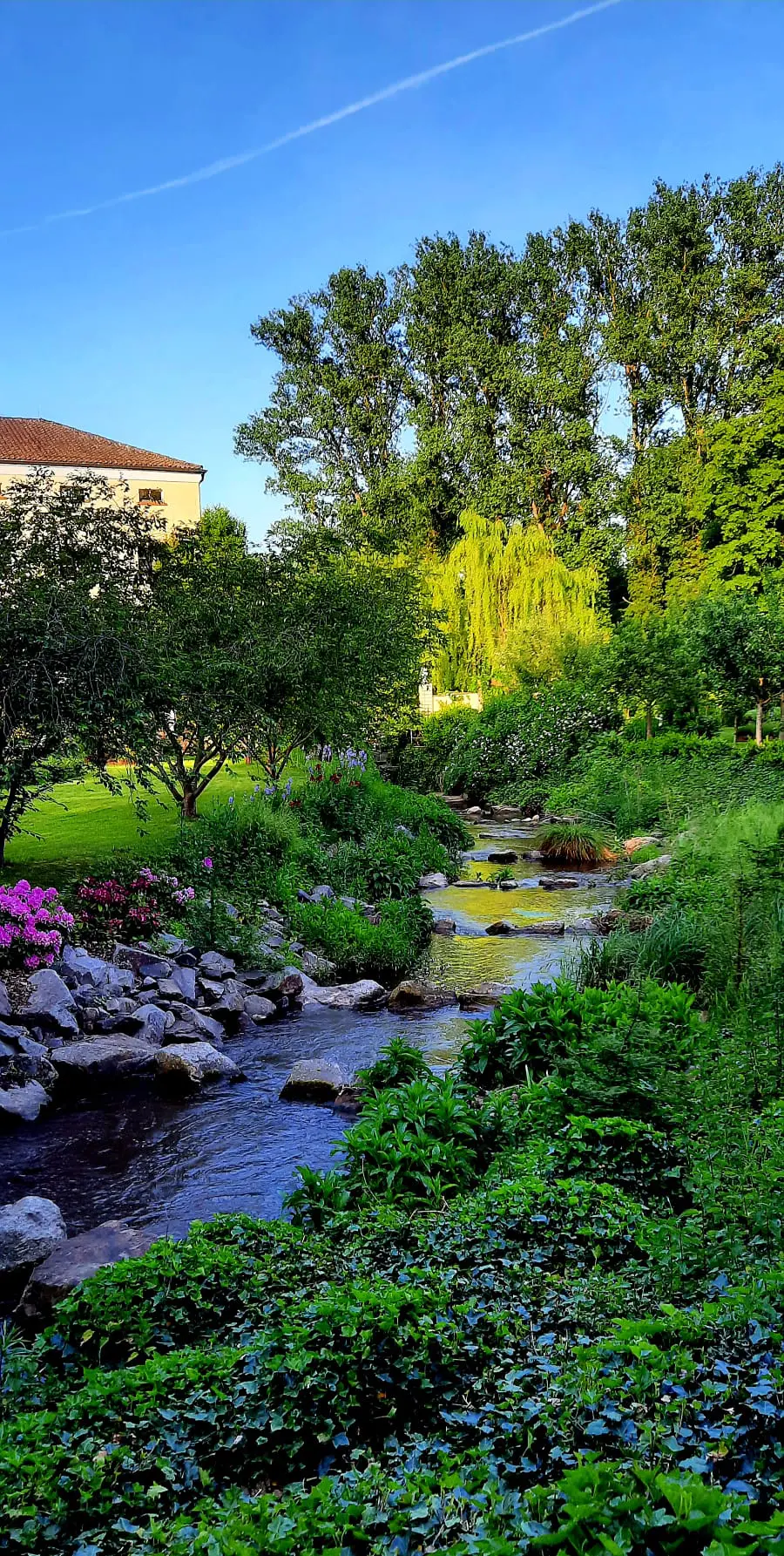 PHOTO 2024 05 14 22 11 55