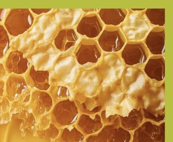 Honig – mehr als nur Süß