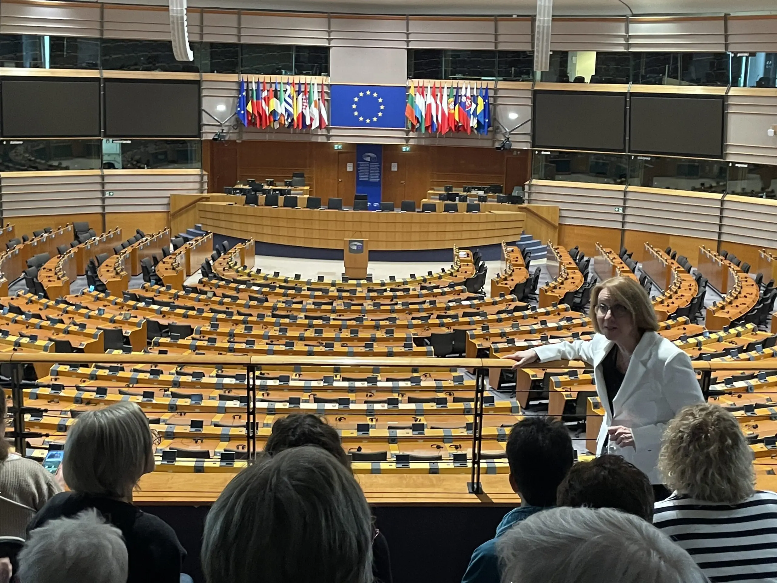 Blick in den Plenarsaal des europäischen Parlaments